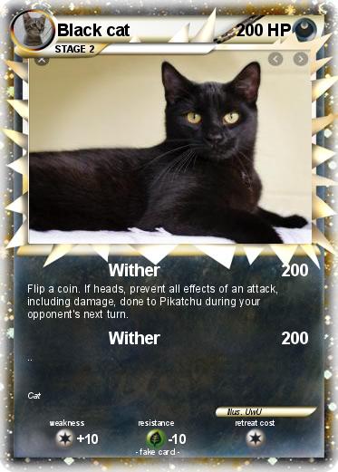 Pokemon Black cat