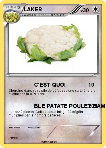 Pokemon LAKER
