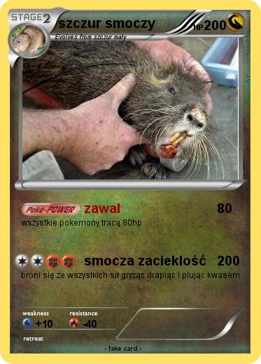 Pokemon szczur smoczy