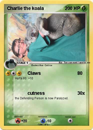 Pokemon Charlie the koala