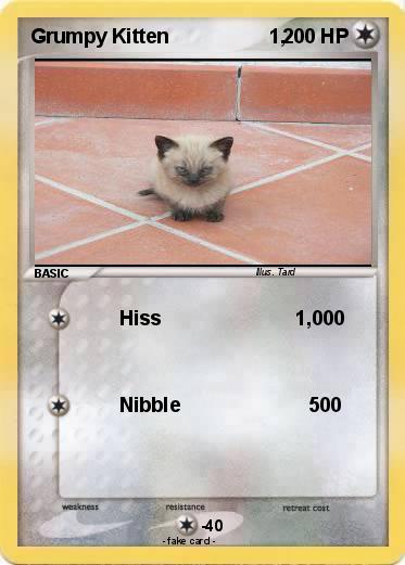 Pokemon Grumpy Kitten                  1,
