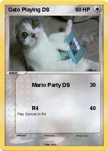 Pokemon Gato Playing DS