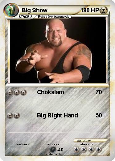 Pokemon Big Show