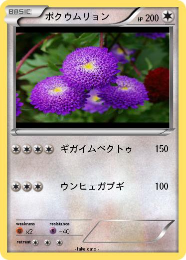 Pokemon ポクウムリョン