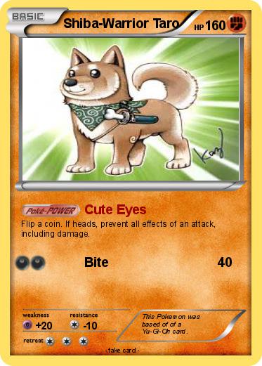 Pokemon Shiba-Warrior Taro