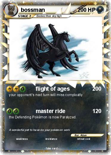 Pokemon bossman