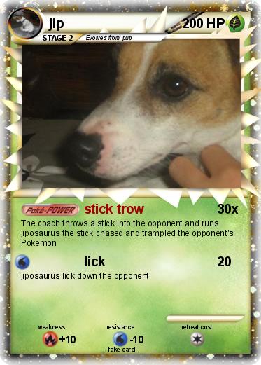 Pokemon jip