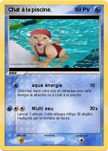 Pokemon Chat à la piscine.
