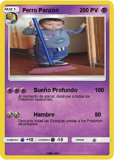 Pokemon Perro Panzón