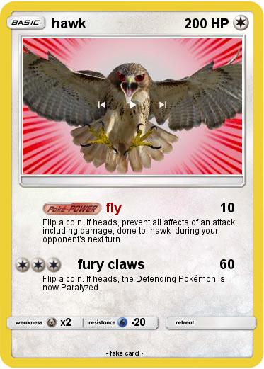 Pokemon hawk
