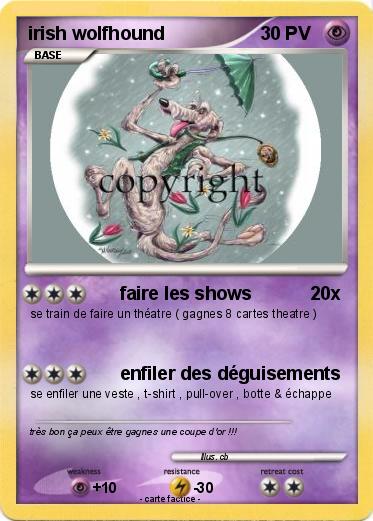 Pokemon irish wolfhound