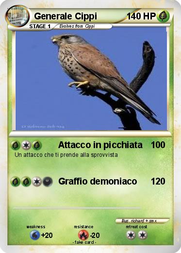 Pokemon Generale Cippi