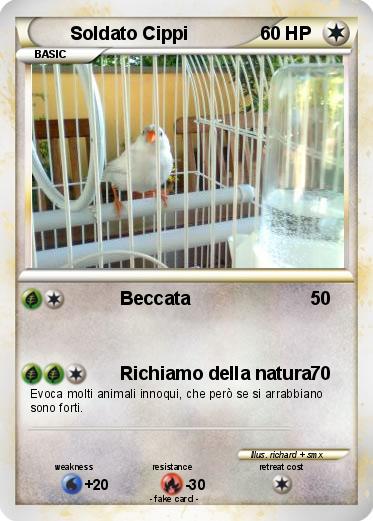 Pokemon Soldato Cippi