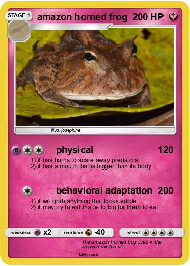Pokemon amazon horned frog