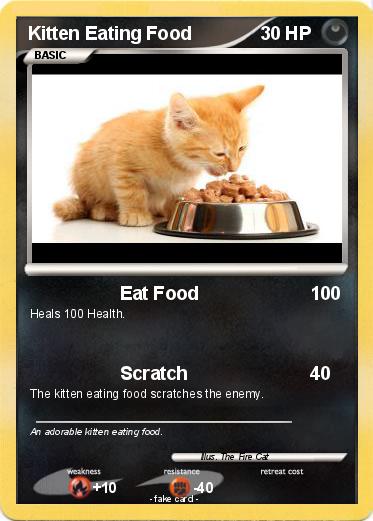 Pokemon Kitten Eating Food