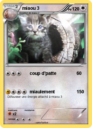 Pokemon miaou 3