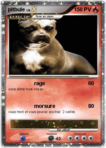 Pokemon pitbule