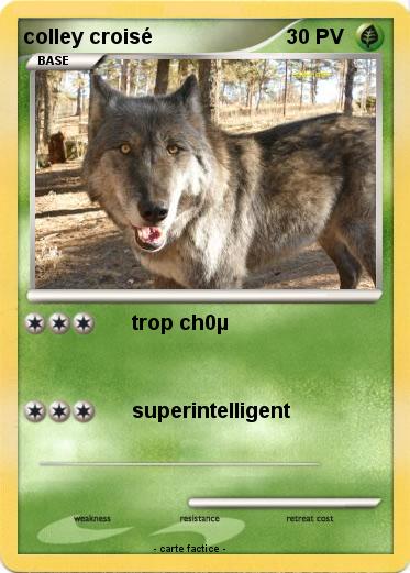 Pokemon colley croisé