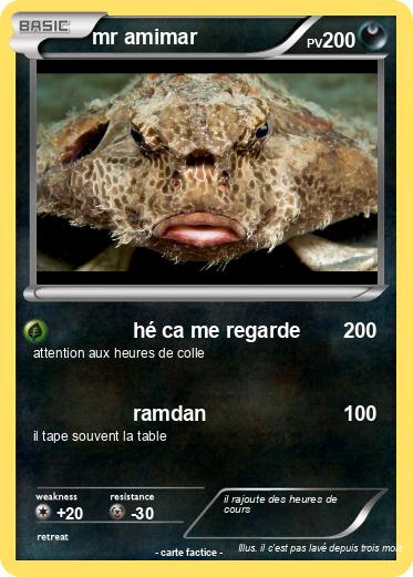 Pokemon mr amimar
