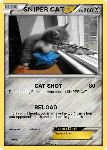 Pokemon SNIPER CAT