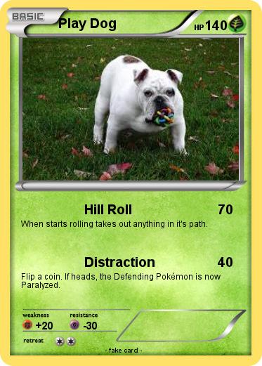 Pokemon Play Dog