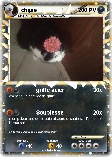 Pokemon chipie