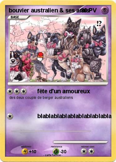 Pokemon bouvier australien & ses amis