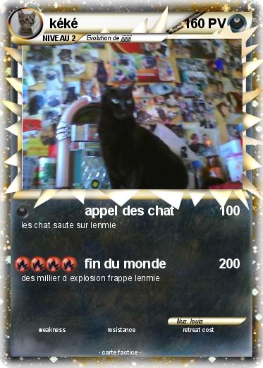 Pokemon kéké