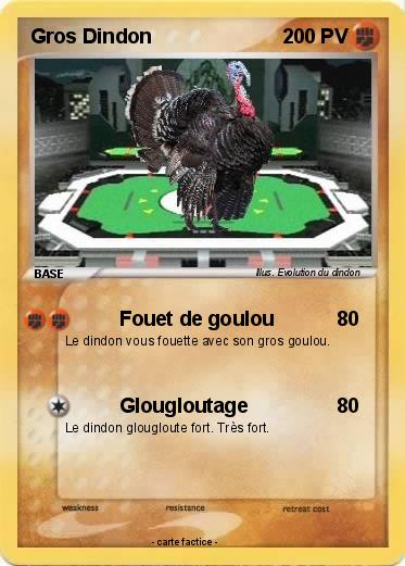 Pokemon Gros Dindon