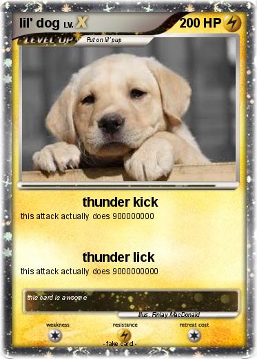 Pokemon lil' dog
