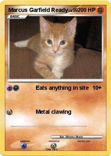 Pokemon Marcus Garfield Ready