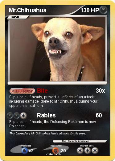 Pokemon Mr.Chihuahua