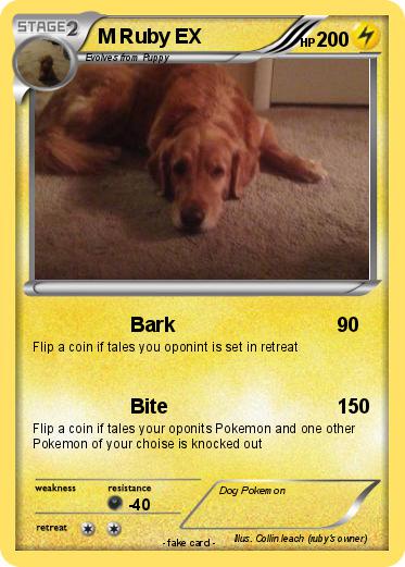 Pokemon M Ruby EX