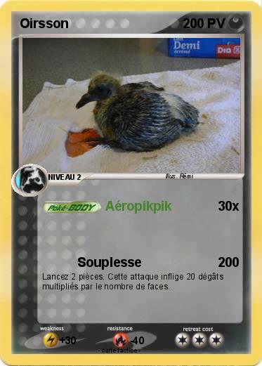 Pokemon Oirsson