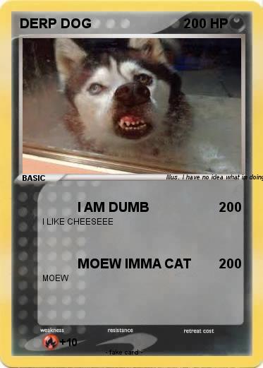 Pokemon DERP DOG