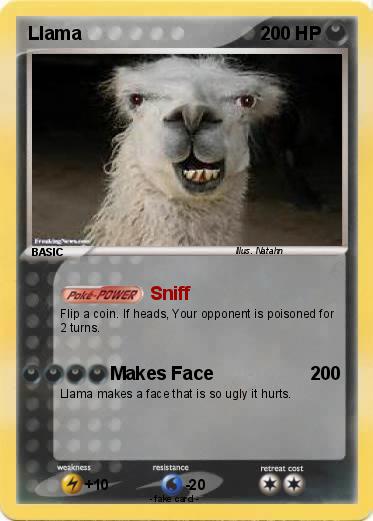 Pokemon Llama