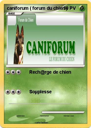 Pokemon caniforum ( forum du chien )