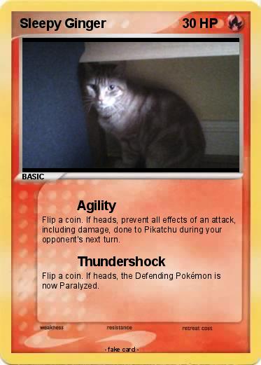 Pokemon Sleepy Ginger