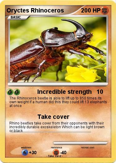 Pokemon Oryctes Rhinoceros