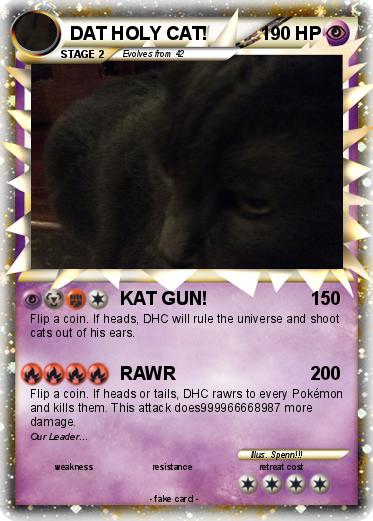 Pokemon DAT HOLY CAT!