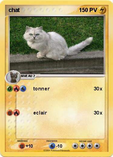 Pokemon chat