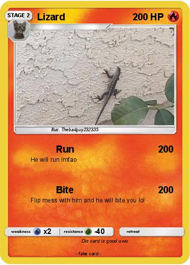 Pokemon Lizard