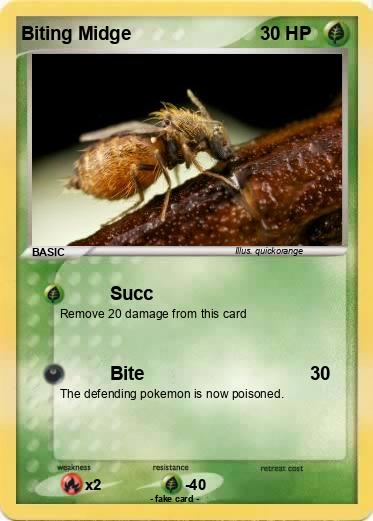 Pokemon Biting Midge