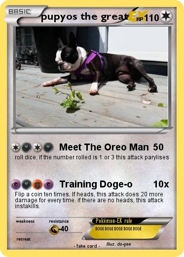 Pokemon pupyos the great