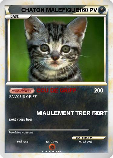 Pokemon CHATON MALEFIQUE