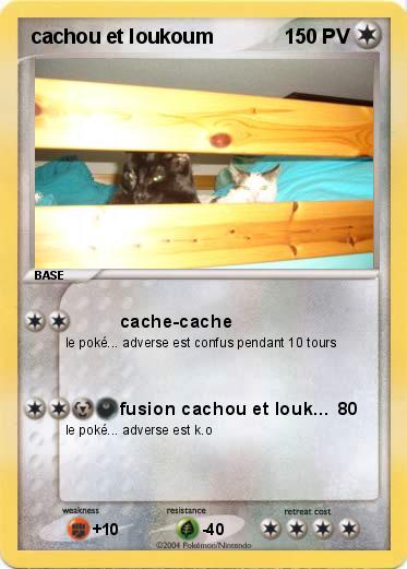 Pokemon cachou et loukoum 