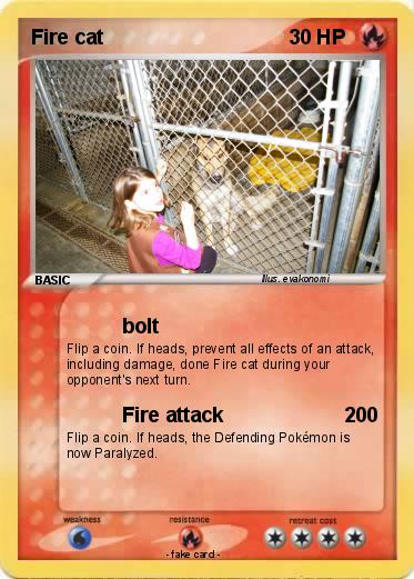 Pokemon Fire cat