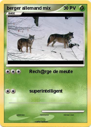 Pokemon berger allemand mix