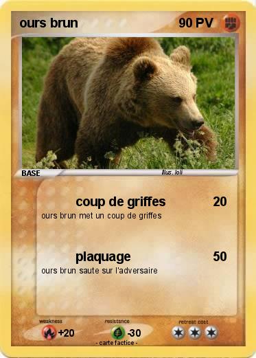 Pokemon ours brun