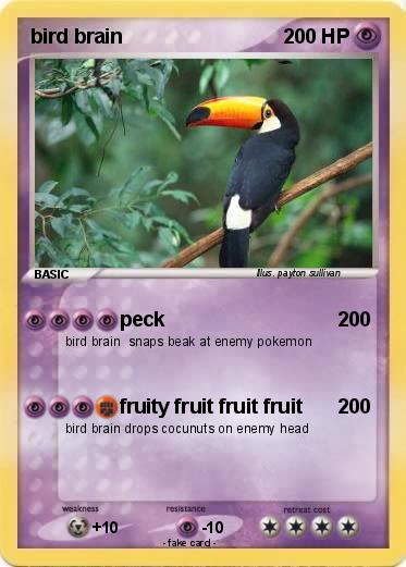 Pokemon bird brain